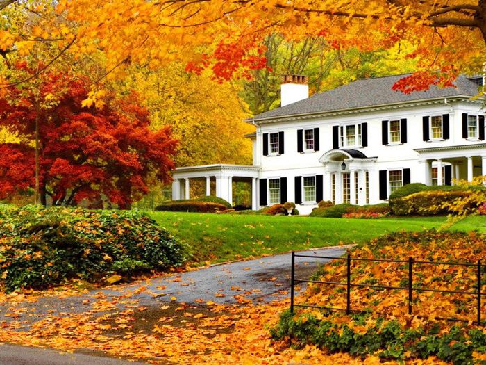 Top 10 Things You Should Always Buy In the Fall