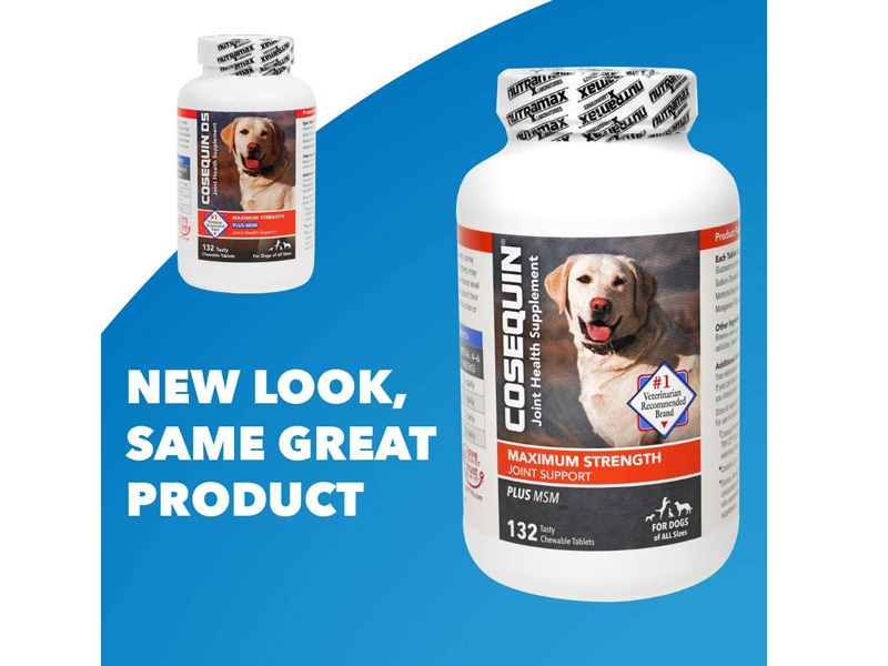 Top 10 Best Dog Hip & Joint Supplements in 2020 Reviews