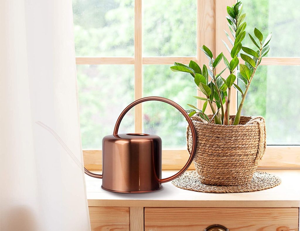 Top 10 Best Watering Cans in 2020 Reviews